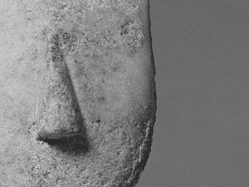 チームワークの勝利