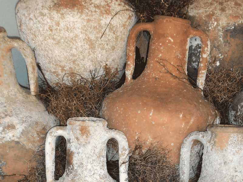 成長の手がかりを掴む